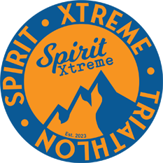 Logo Spirit of 78